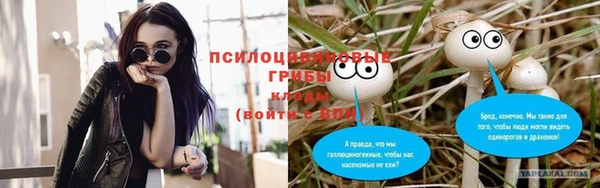 наркотики Богородицк