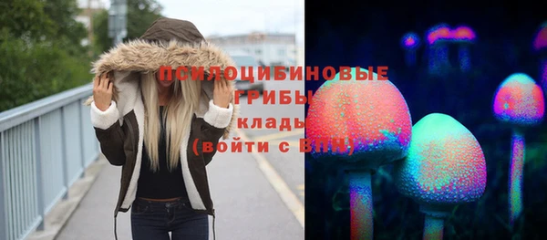 COCAINE Белокуриха