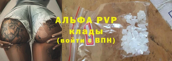 прущие грибы Белоозёрский