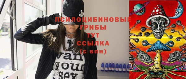 МДМА Богданович