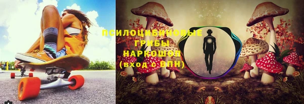 прущие грибы Белоозёрский