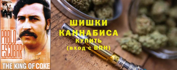 прущие грибы Белоозёрский